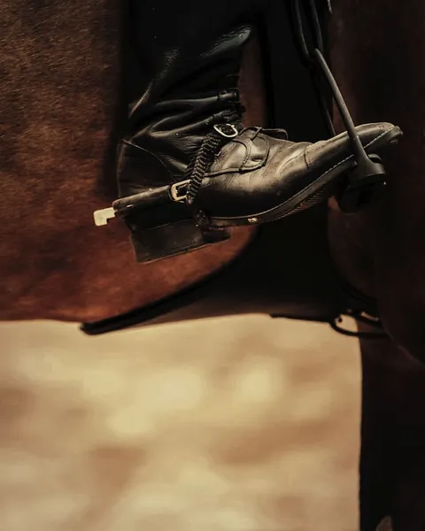 A rider's tall boot in the stirrup on a bay horse