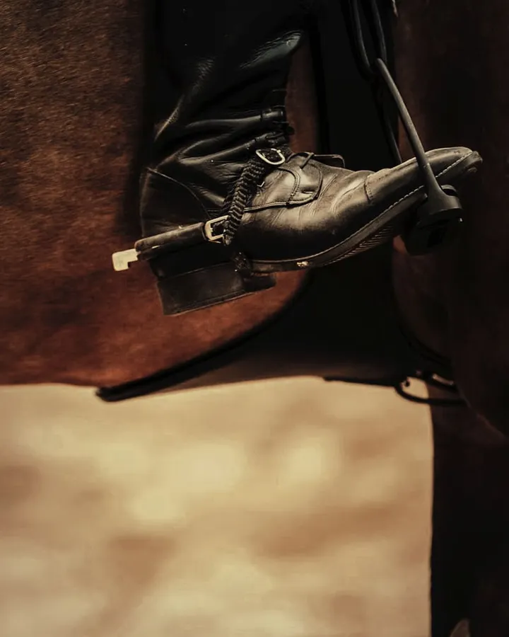 A rider's tall boot in the stirrup on a bay horse